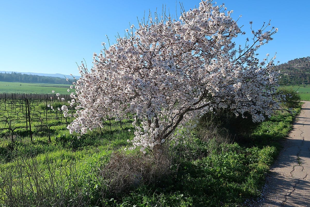 So muss der Frühling ausssehen So muss der Frühling ausssehen
