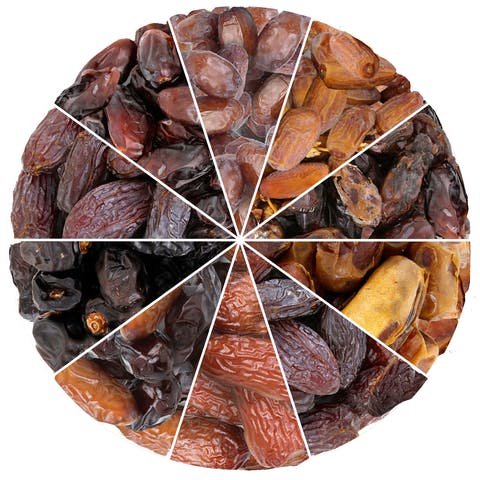 grading-dates-final grading-dates-final