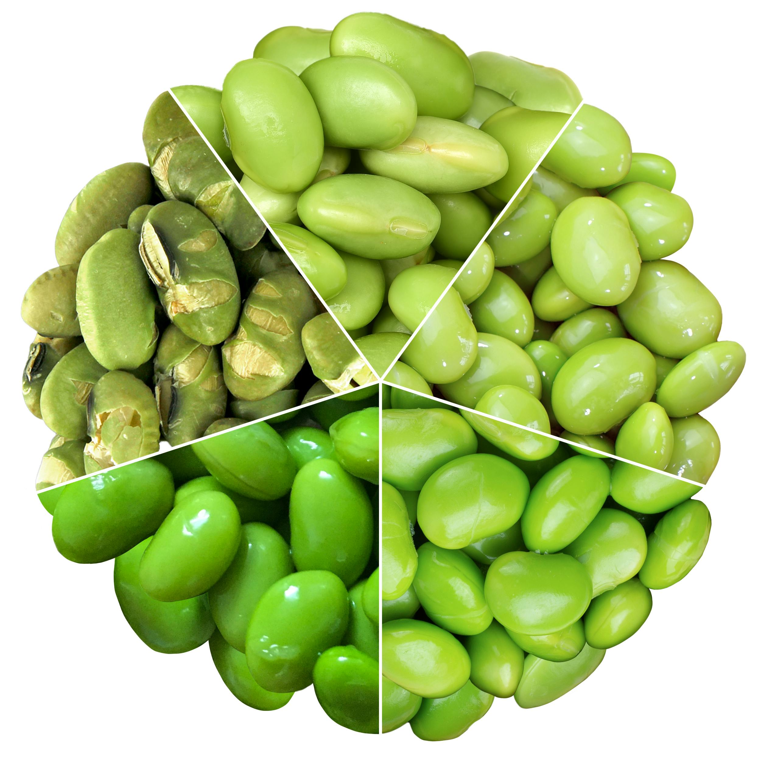 Edamame_Grading Edamame_Grading