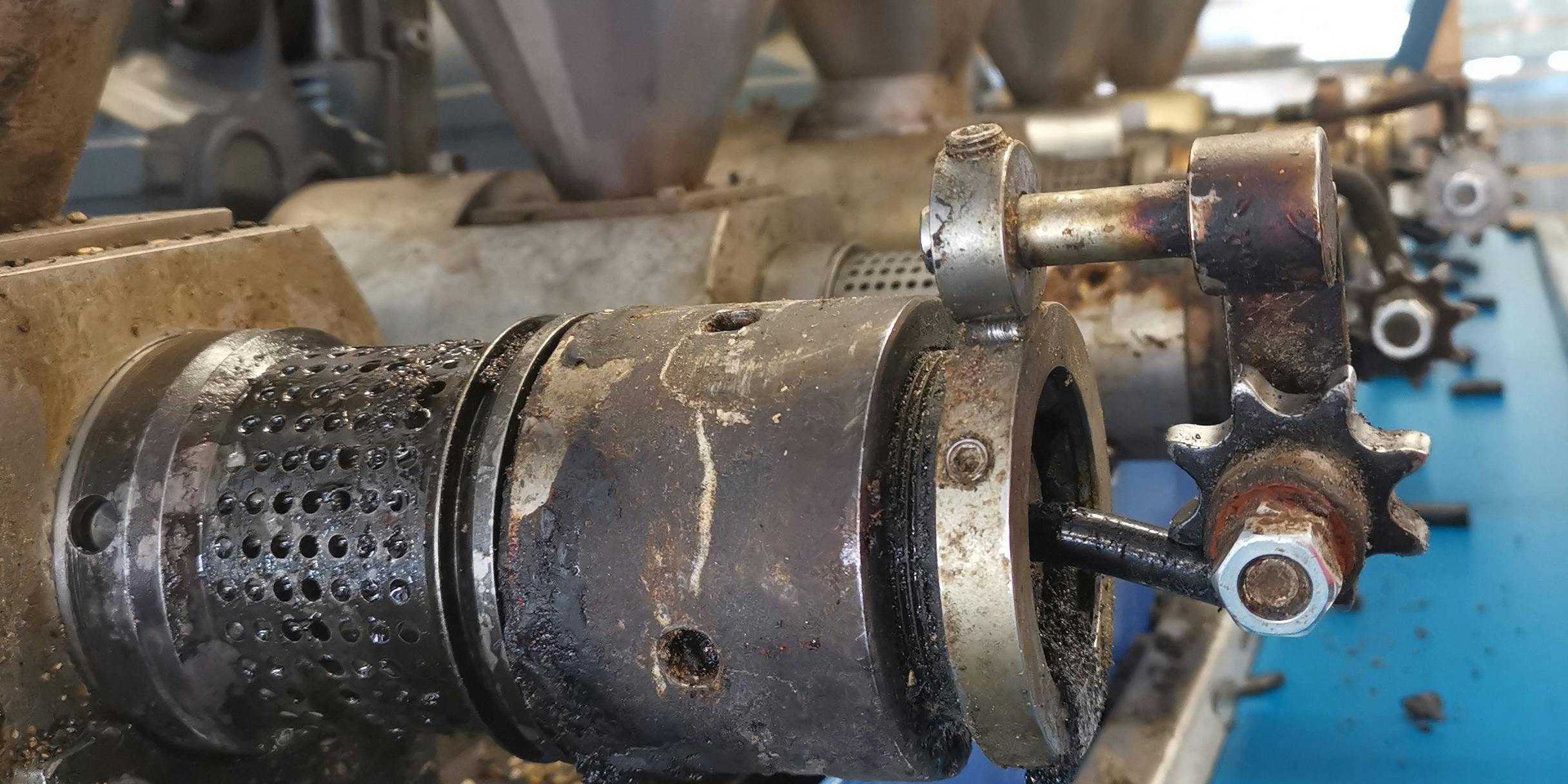 Kaltpressung der Schwarzkümmelsaat Kaltpressung der Schwarzkümmelsaat